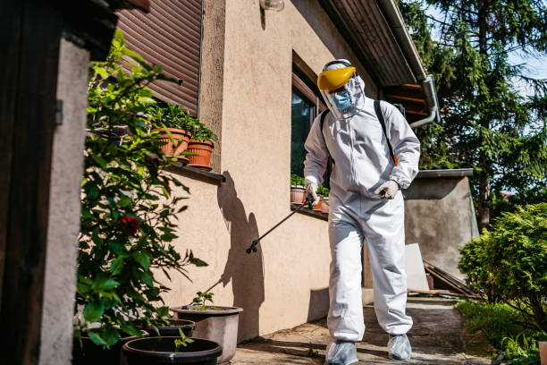Pest Control for Restaurants in Franklin, CA