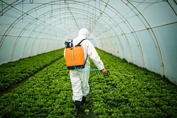 Professional Pest Control in Franklin, CA
