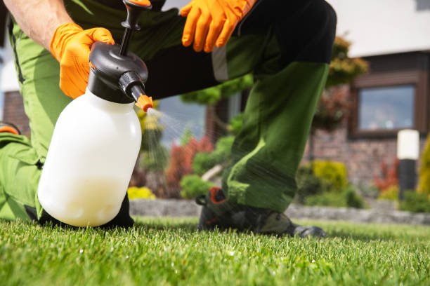Best Ant Control Services  in Franklin, CA