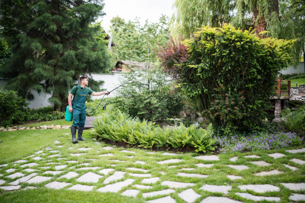 Best Best Pest Control Companies  in Franklin, CA