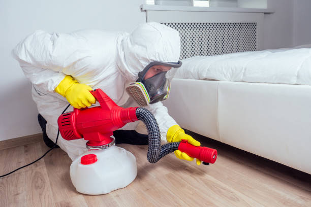 Best Best Pest Control Companies  in Franklin, CA