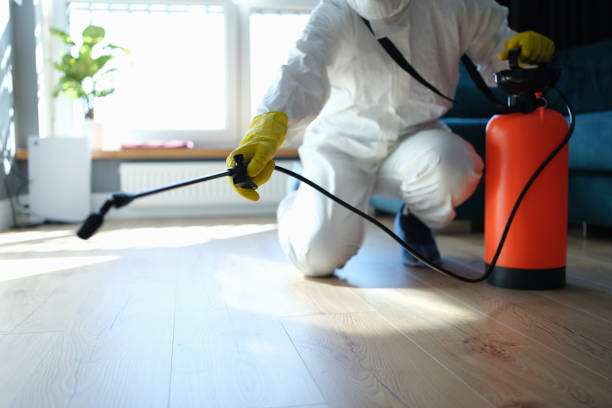 Best Exterminator Services  in Franklin, CA