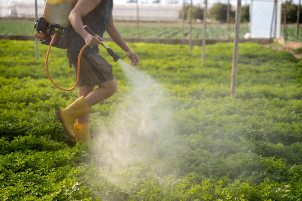 Best Best Pest Control Companies  in Franklin, CA