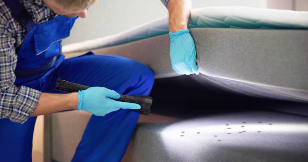 Best Residential Pest Control  in Franklin, CA
