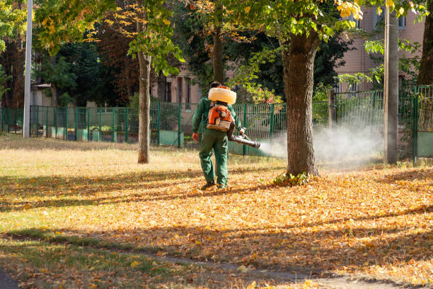 Best Pest Removal Services  in Franklin, CA