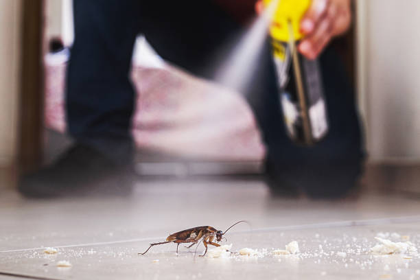 Best Pest Prevention Services  in Franklin, CA