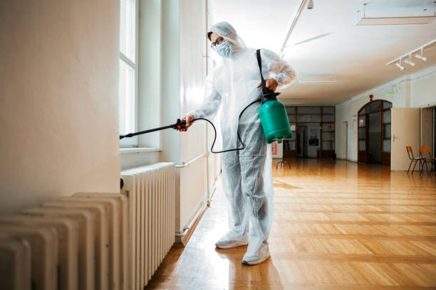 Best Mosquito Control Services  in Franklin, CA